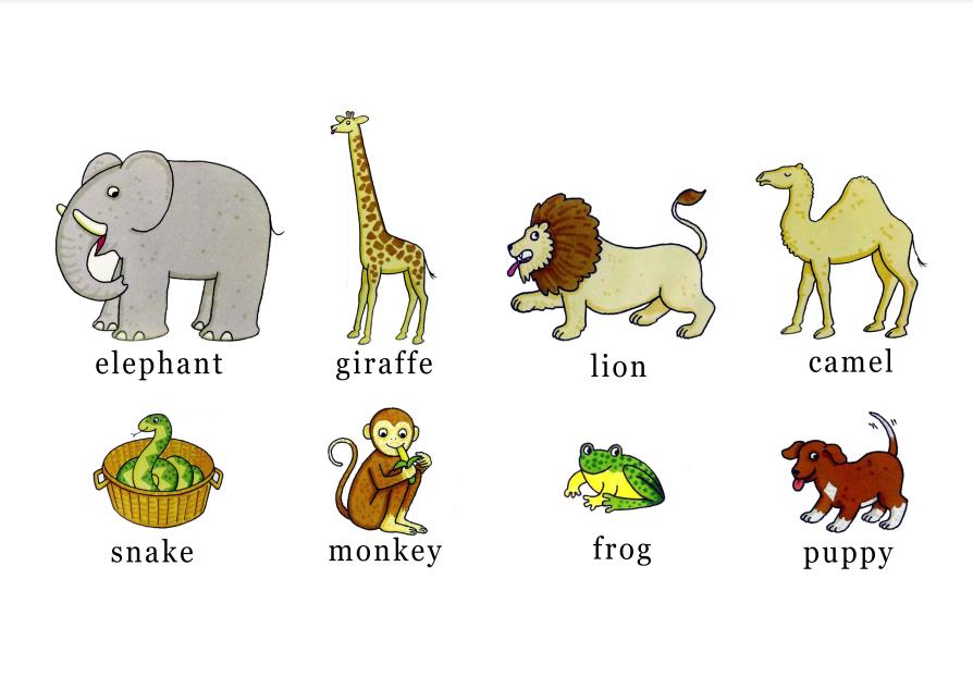 图片[3]-《Dear Zoo》绘本拓展系列，绘本游戏PDF可打印-淘学学资料库