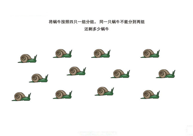 图片[2]-按照要求给图画中的动物分组-淘学学资料库