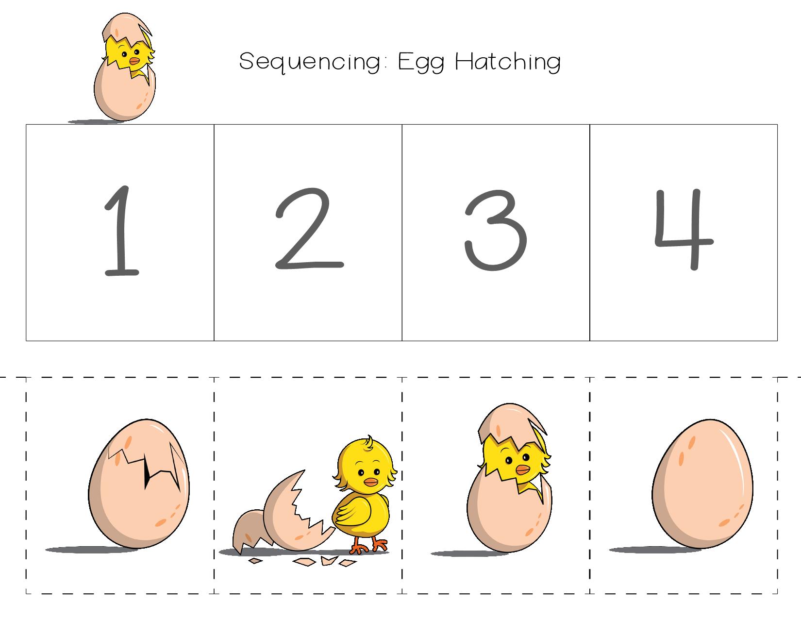 图片[1]-排序 Sequencing Pack_Color，15页PDF-淘学学资料库