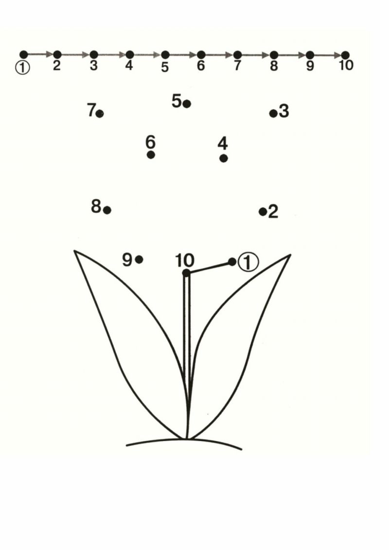 图片[3]-数字1-10连线与填色二，PDF可打印-淘学学资料库